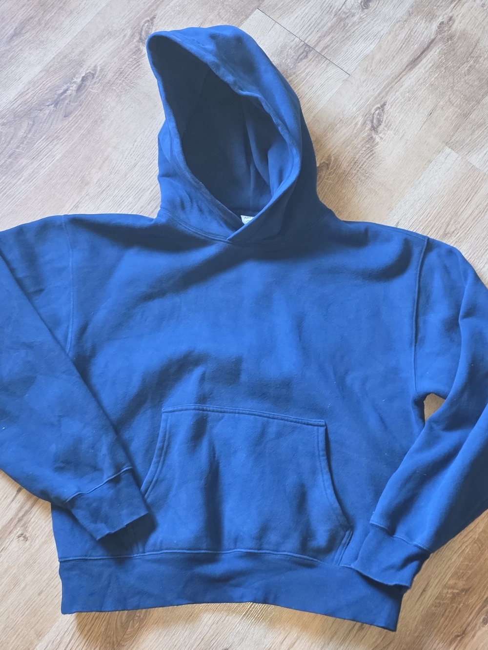 Aritzia Womens Blue Pullover Hoodie